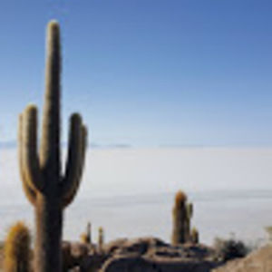 Meet your Posher, Candace